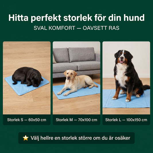 Zvarelo™ — Kylmattan som stoppar överhettningen av din hund
