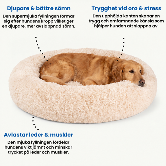 Zvarelo — Hundbädden som ger din hund djup vila och stöd hela natten