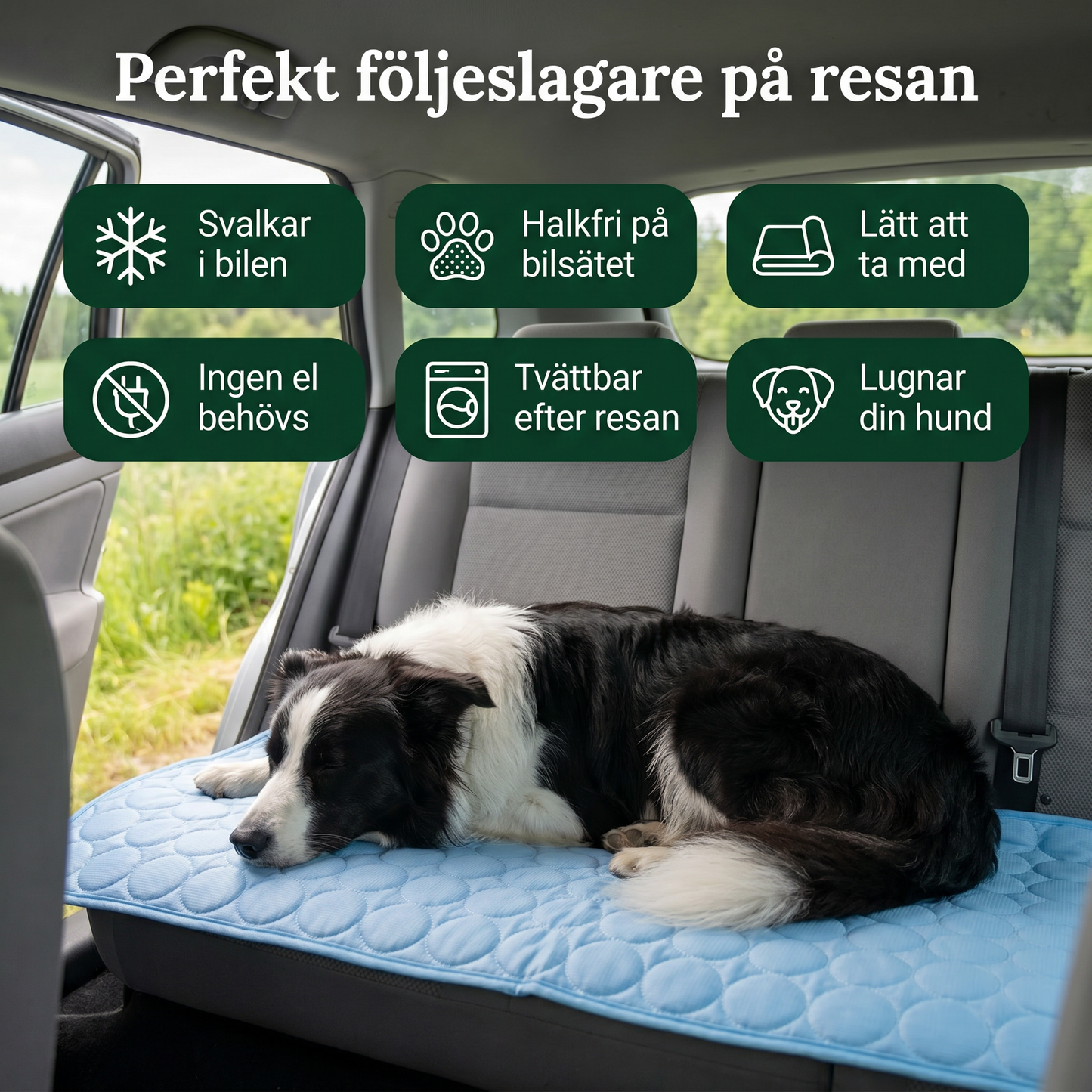 Zvarelo™ — Kylmattan som stoppar överhettningen av din hund