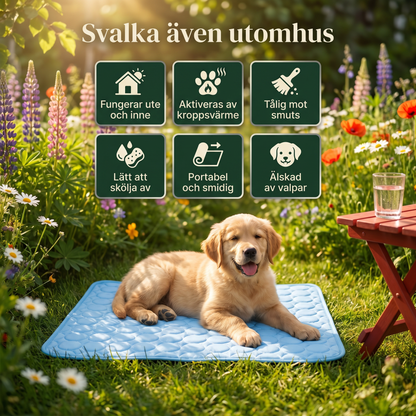 Zvarelo™ — Kylmattan som stoppar överhettningen av din hund