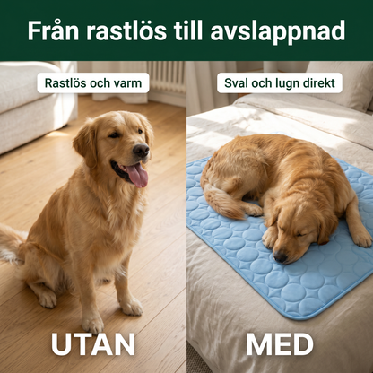Zvarelo™ — Kylmattan som stoppar överhettningen av din hund
