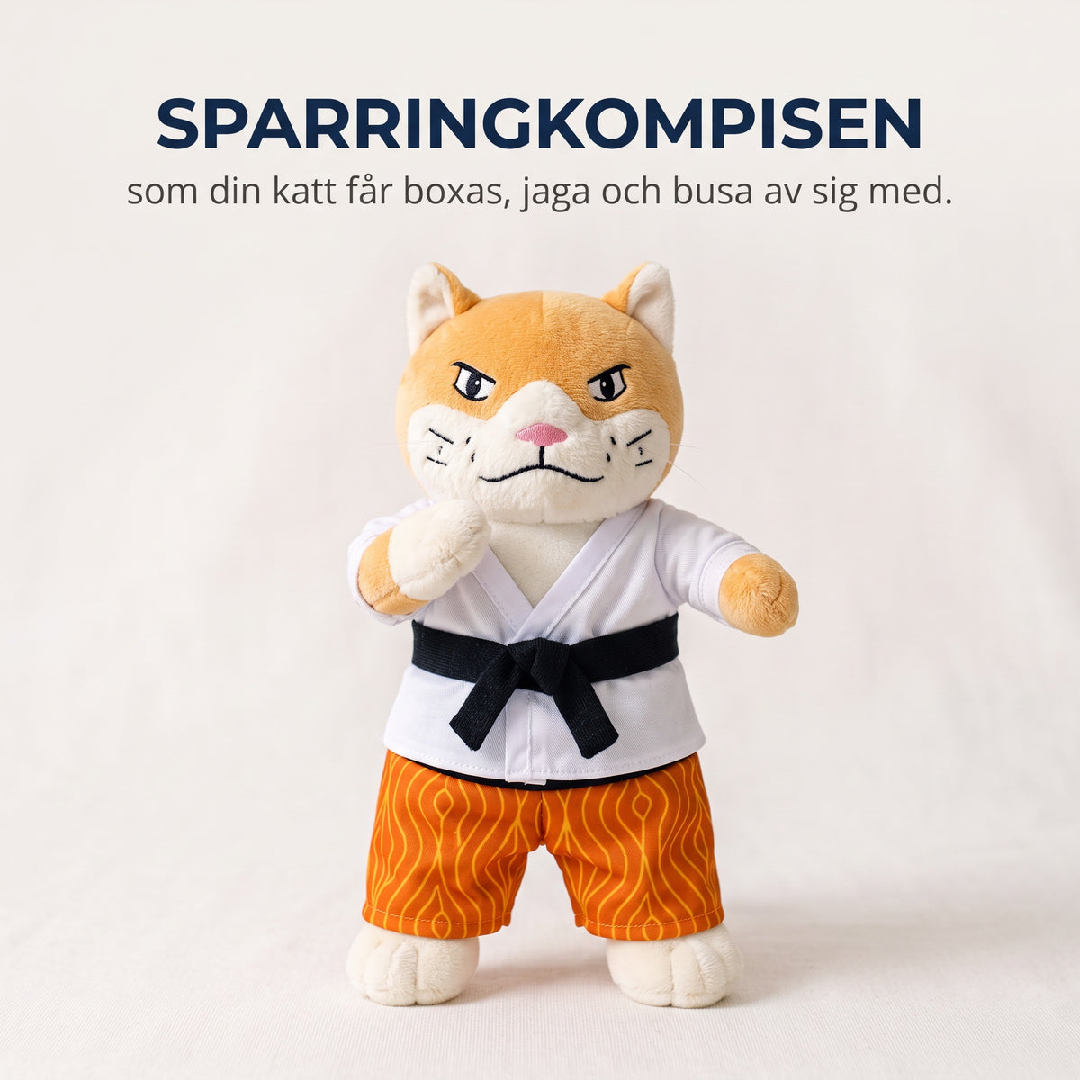 Karatekatt sparringkompis