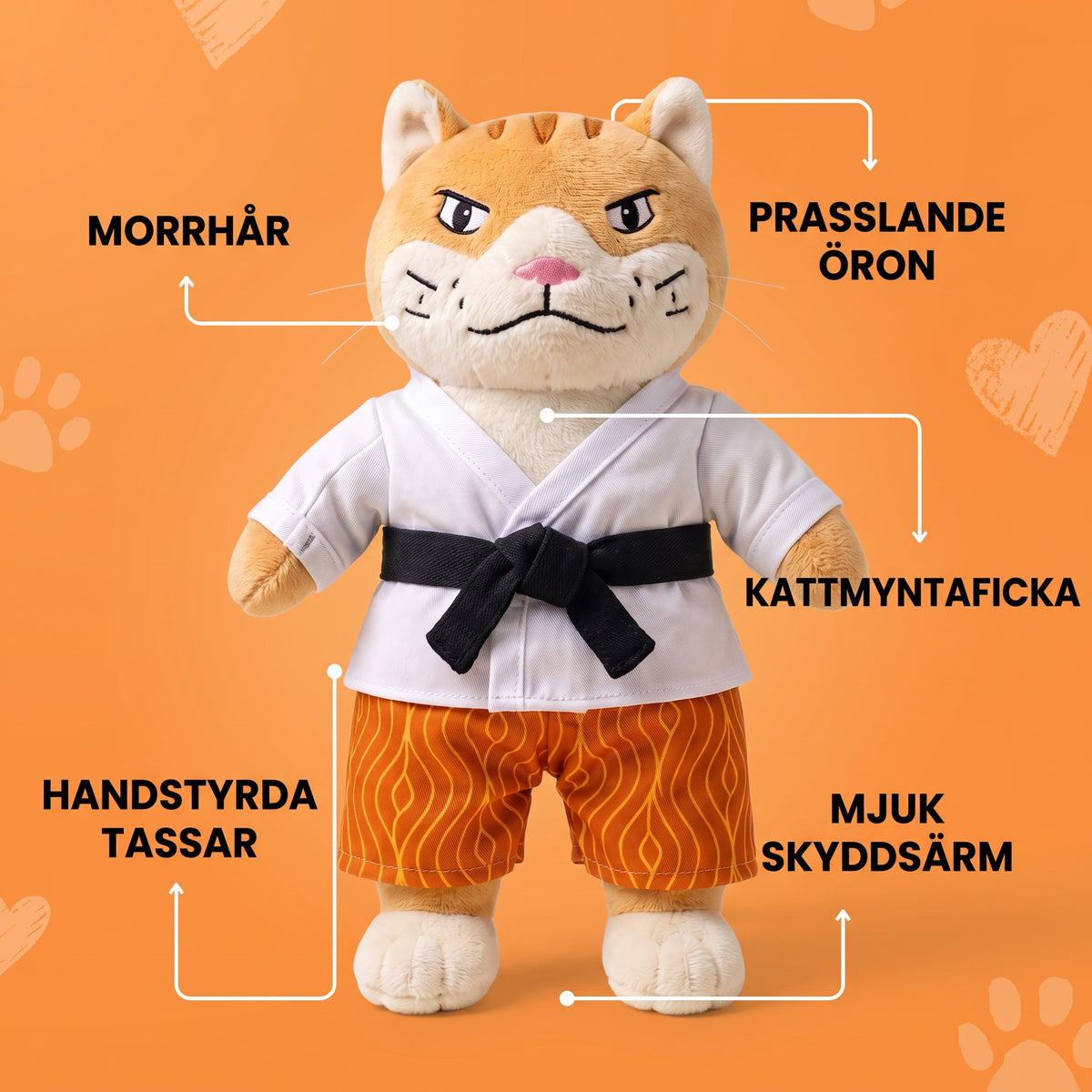 Karatekatt funktioner