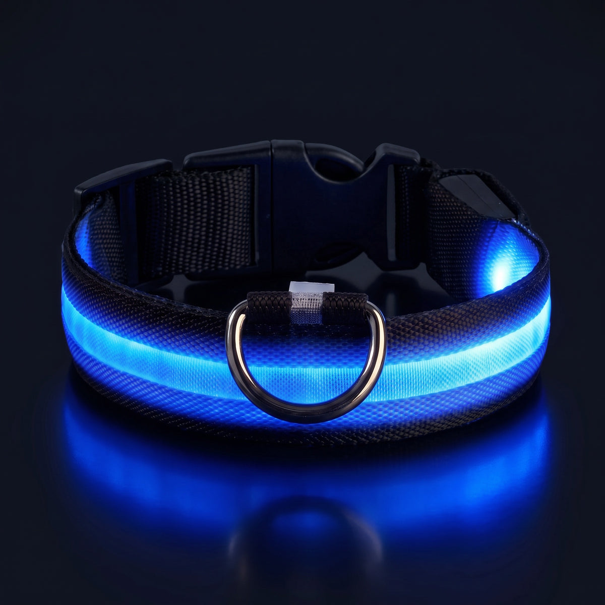 LED-halsband blått sken