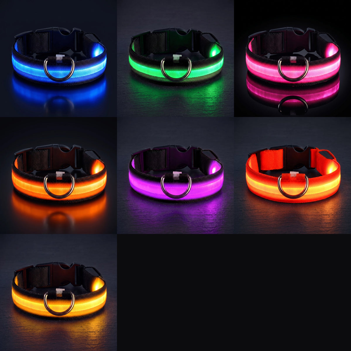 LED-halsband alla färger