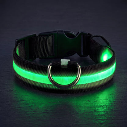 LED-halsband grönt sken