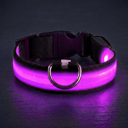 LED-halsband lila sken