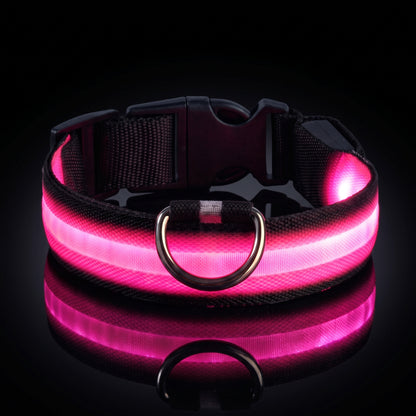 LED-halsband rosa sken
