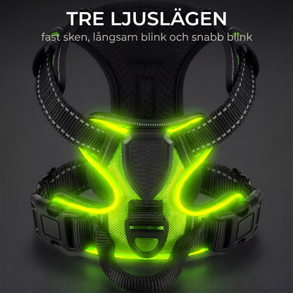 Tre ljuslägen fast sken långsam och snabb blink