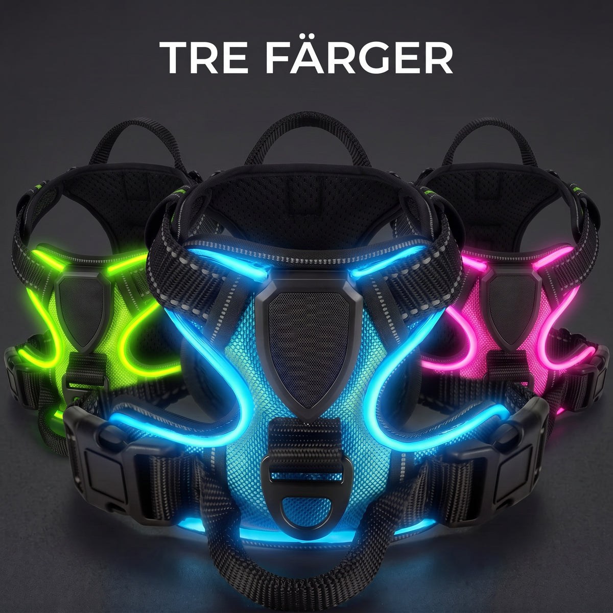 LED-hundsele i tre färger grön blå rosa