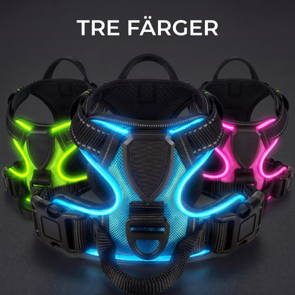 LED-hundsele i tre färger grön blå rosa