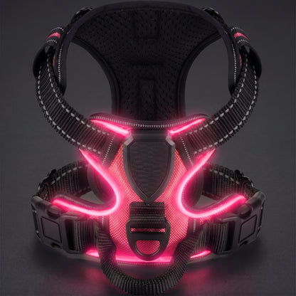 Rosa LED-hundsele