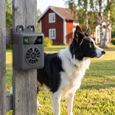 Zvarelos grafitgrå ultraljudsenhet hänger på ett trästaket i en svensk villaträdgård med en border collie bredvid