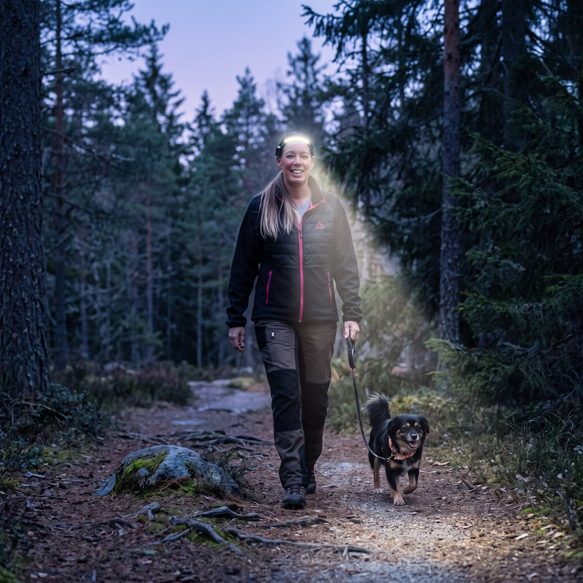 Pannlampa kvällspromenad med hund