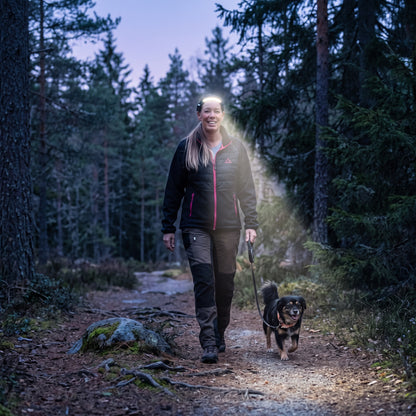 Pannlampa kvällspromenad med hund