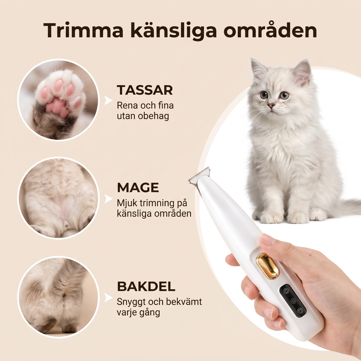 Trimma känsliga områden: tassar, mage och bakdel