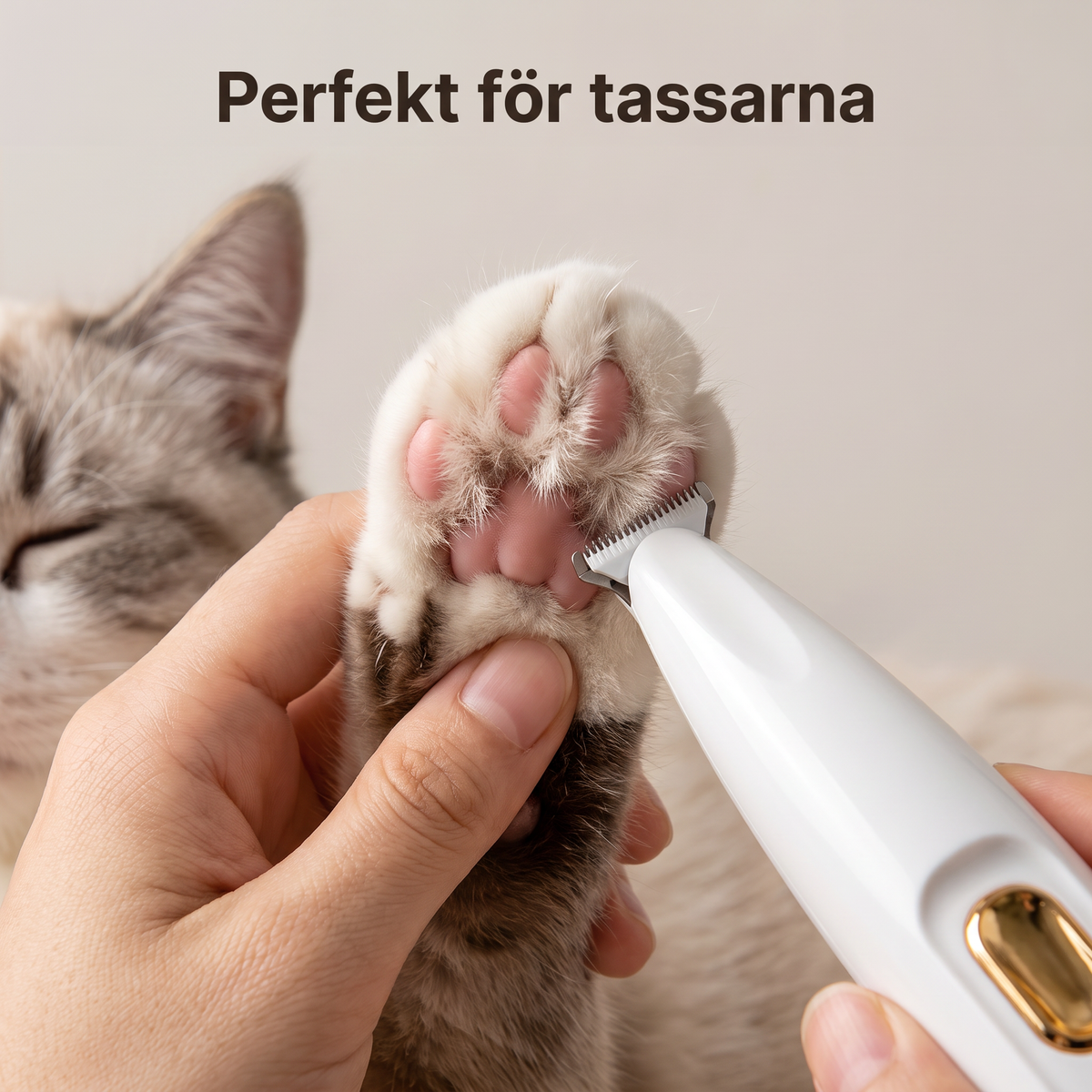 Perfekt för tassarna - trimning mellan trampdynorna